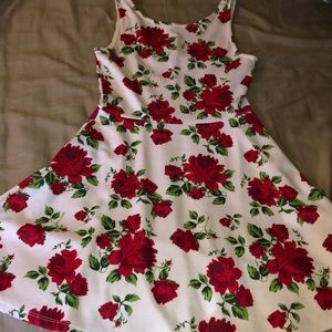 Rose 🌹 Skater dress